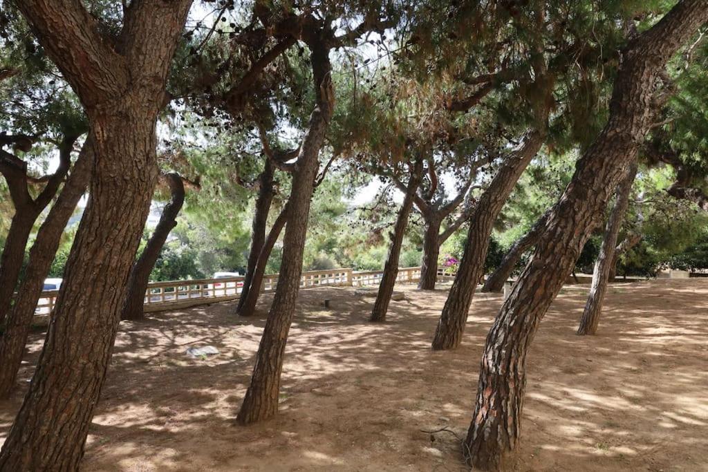 το σπίτι δίπλα στη θάλασσα / The House By The Sea Rafina (Attica)