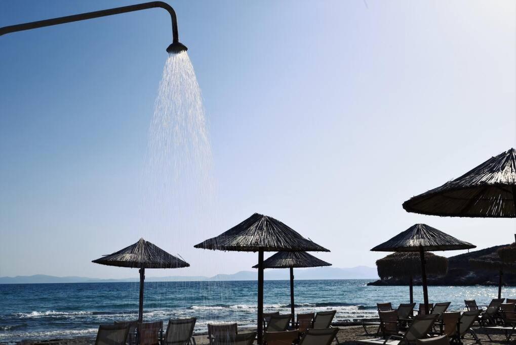το σπίτι δίπλα στη θάλασσα / The House By The Sea Apartment